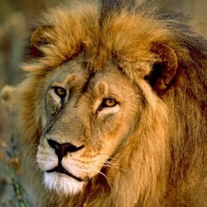 Meet your Posher, Chloe'